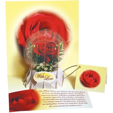 Felicitare 3D tip glob-Trandafir rosu. Cel mai frumos cadou pentru persoana iubita.