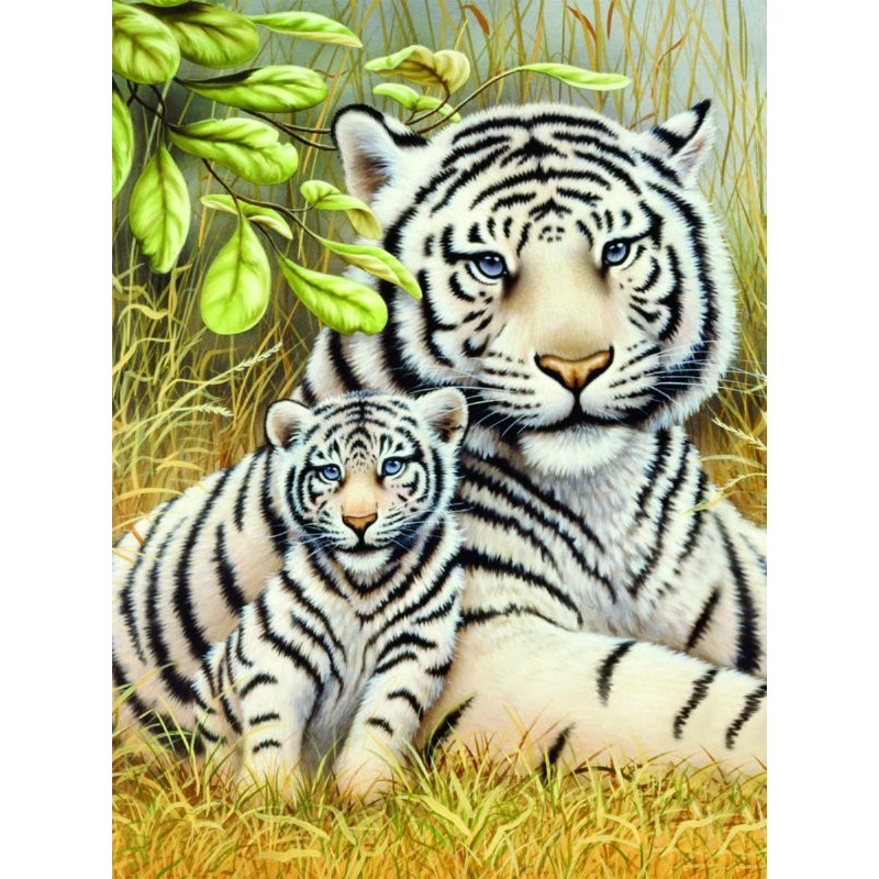 Prima mea pictura pe numere junior mic Tigri albi 24x33 cm