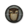 Set 3 insigne Eclectic Grumpy Owl