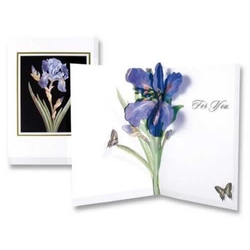 Felicitare 3D floare iris pentru tine. o felicitare invelita in plic, cu elemente tridimensionale si un mesaj deja scris