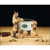 Rama foto speciala German Shephard (10.2x15.2cm)