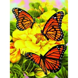 Prima mea pictura pe numere Fluturi Majestic Monarchs