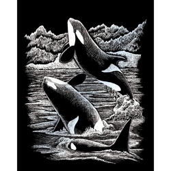 Set gravura pe folie argintie - Orca