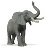 Figurina Papo-Elefant