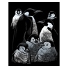 Gravura pe folie argintie-Familie de pinguini