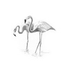 Crochiu incepatori-Flamingo importator