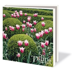 Mapa cu 10 felicitari Tulips, Marijke Heuff