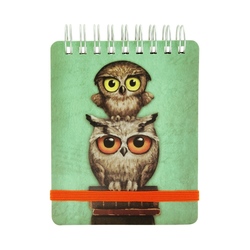 Carnet de buzunar Book Owls