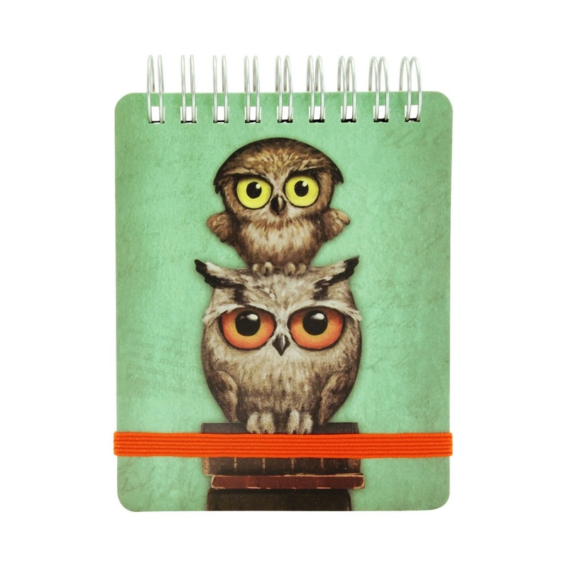 Carnet de buzunar Book Owls