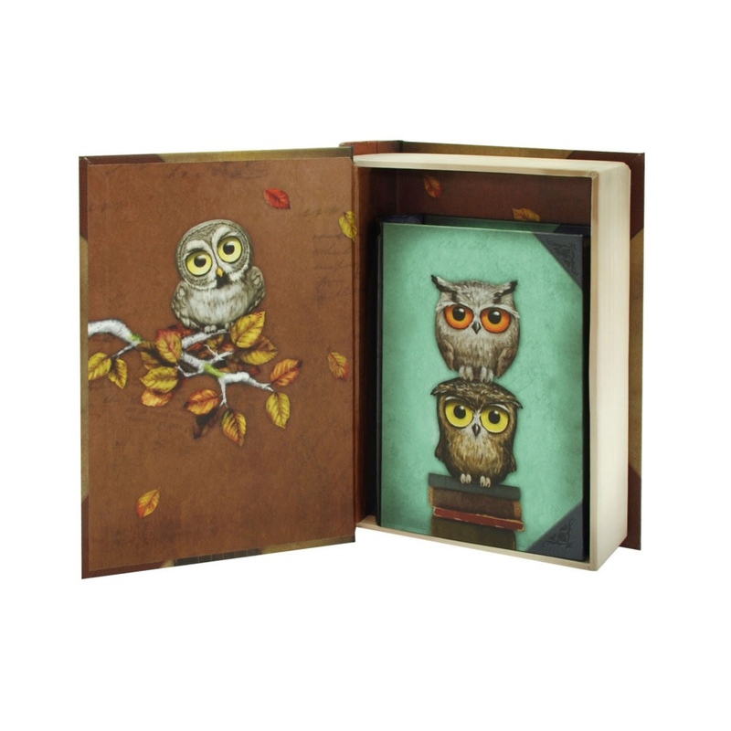 Gorjuss Set 2 cutii carte Book Owls