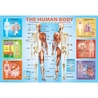 Puzzle 200 piese The Human Body