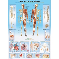 Puzzle 1000 piese The Human Body