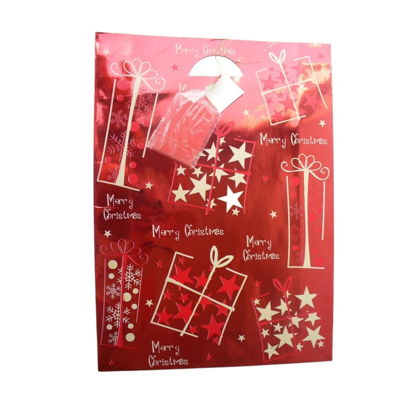 Punga XL rosie lucioasa model iarna