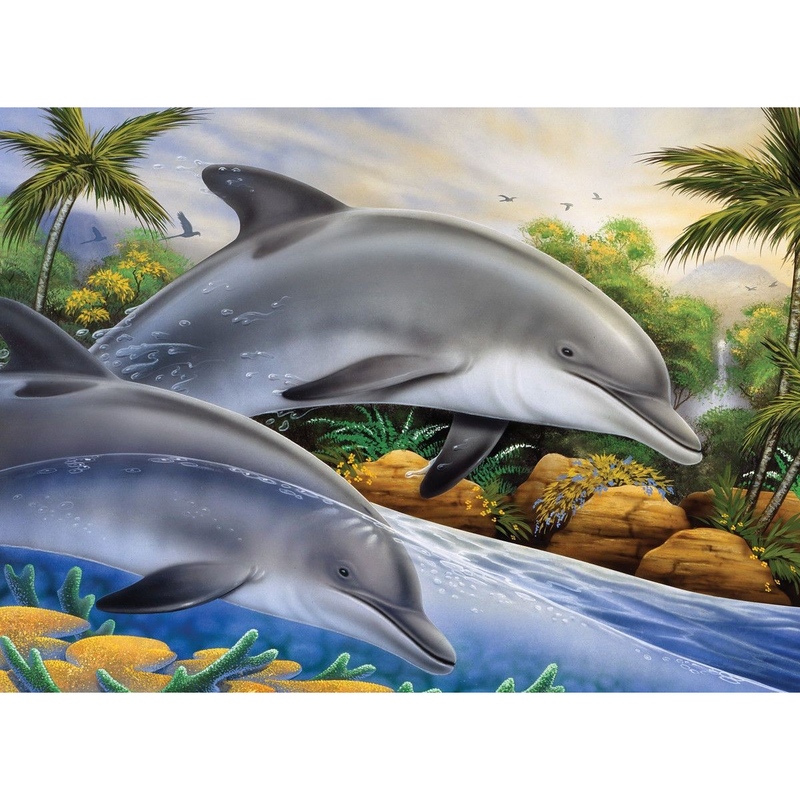 Prima pictura pe nr junior mare - Insula delfinilor