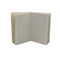 Carnet notite A6 liniatura reproducere arta pictor Ton Shulten