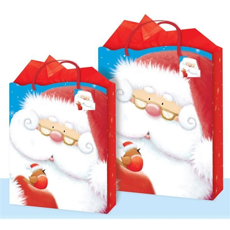 Punga iarna Mos Craciun - cu glitter L