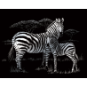 Set gravura pe folie argintie Zebra importator
