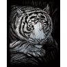 Set gravura pe folie argintie Tigru alb importator