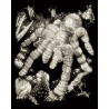 Set gravura pe folie fosforescenta Tarantula