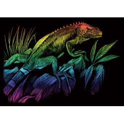 Set gravura pe folie curcubeu mica Iguana