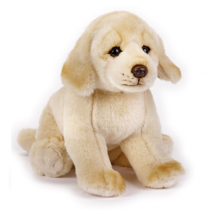 Nonsense Watery Steer Jucarie plus National Geographic Catel Golden Retreiver | importator