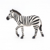 Figurina replica zebra educatie