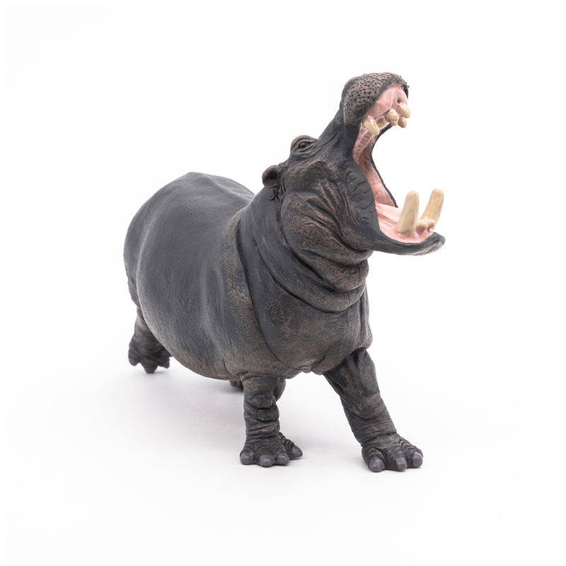 Hipopotam - Figurina Papo importator