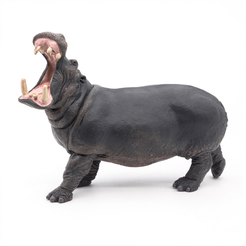 Hipopotam - Figurina Papo
