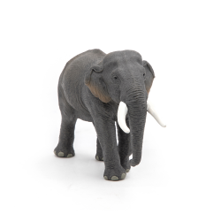 Elefant asiatic - Figurina Papo perspectiva