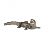 Pui de crocodil - Figurina Papo importator