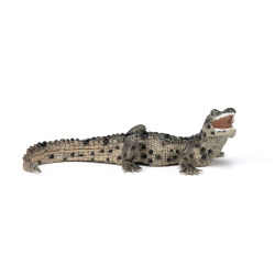 Pui de crocodil - Figurina Papo jad flamande