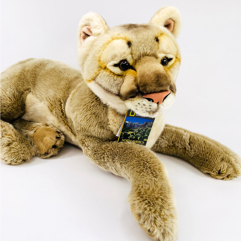 National Geographic Puma sau Leul de munte 65 cm