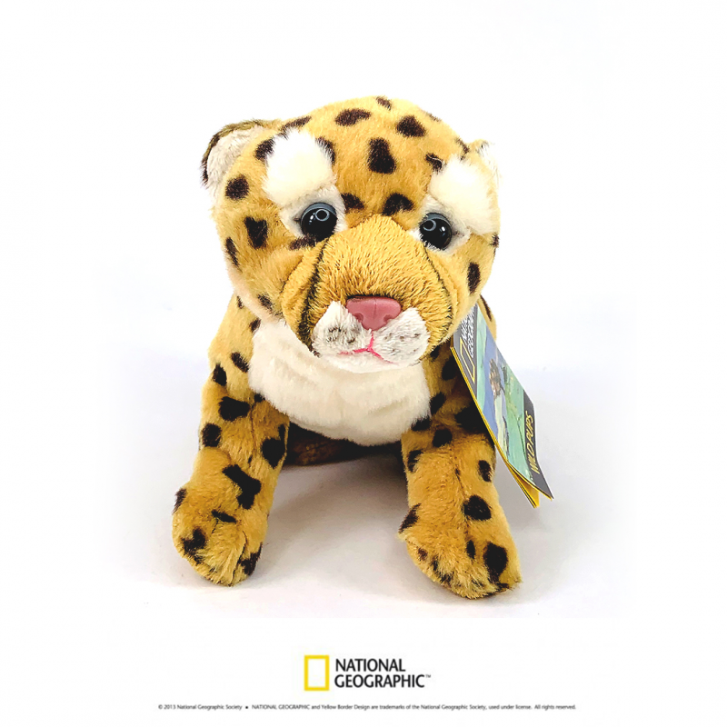 Jucarie din plus National Geographic Pui ghepard mic