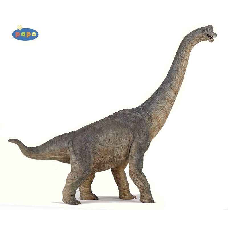 Figurina Papo-Dinozaur Brachiosaurus