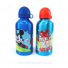 Recipient apa 500 ml Mickey