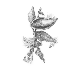 Schite in creion pentru copii