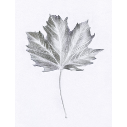 Set schite in creion pentru incepatori 2 proiecte 35 piese frunza