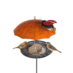 Hranitoare pentru pasari model cu umbrela portocalie