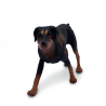Caine Dobermann figurina 10 cm