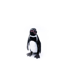 Pinguin Humboldt figurina colectionabila