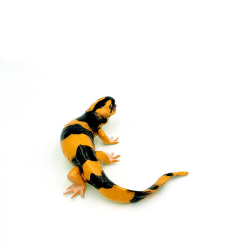salamandra tigru figurina de colectie