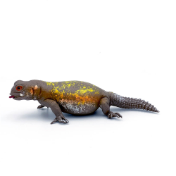 Iguana cu coada spinoasa figurina de colectie