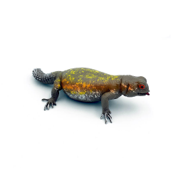 Iguana figurina 15 cm