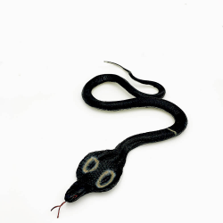Cobra pui negru figurina copii 85 cm