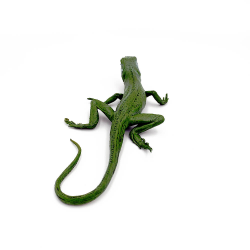 Iguana mica lunga de 21 cm figurina colectie