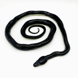 Sarpe cu clopotei figurina 141 cm