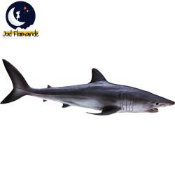 Figurina Rechinul Mako