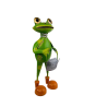 Decoratiune gradina-Broscoi cu stropitoare