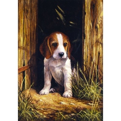 Prima mea pictura pe numere junior mica - Catelus Beagle doar la Jad Flamande