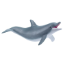 Delfin jucaus